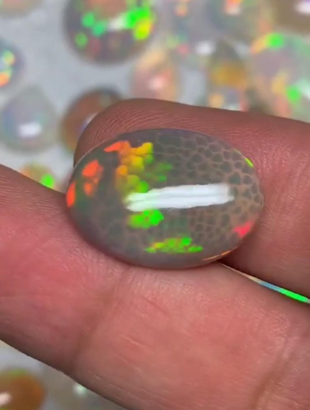 Snake Dunk Ethiopian Opal