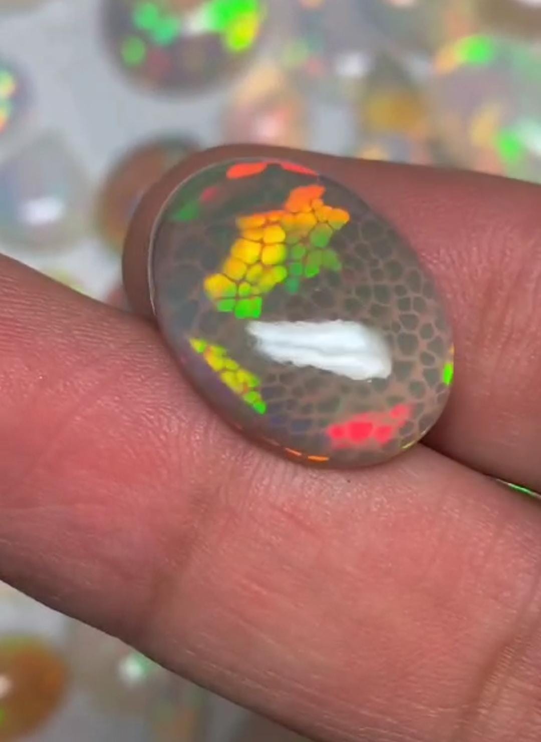 Snake Dunk Ethiopian Opal